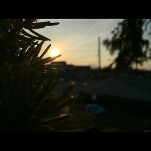 Meet your Posher, Jacquelyn